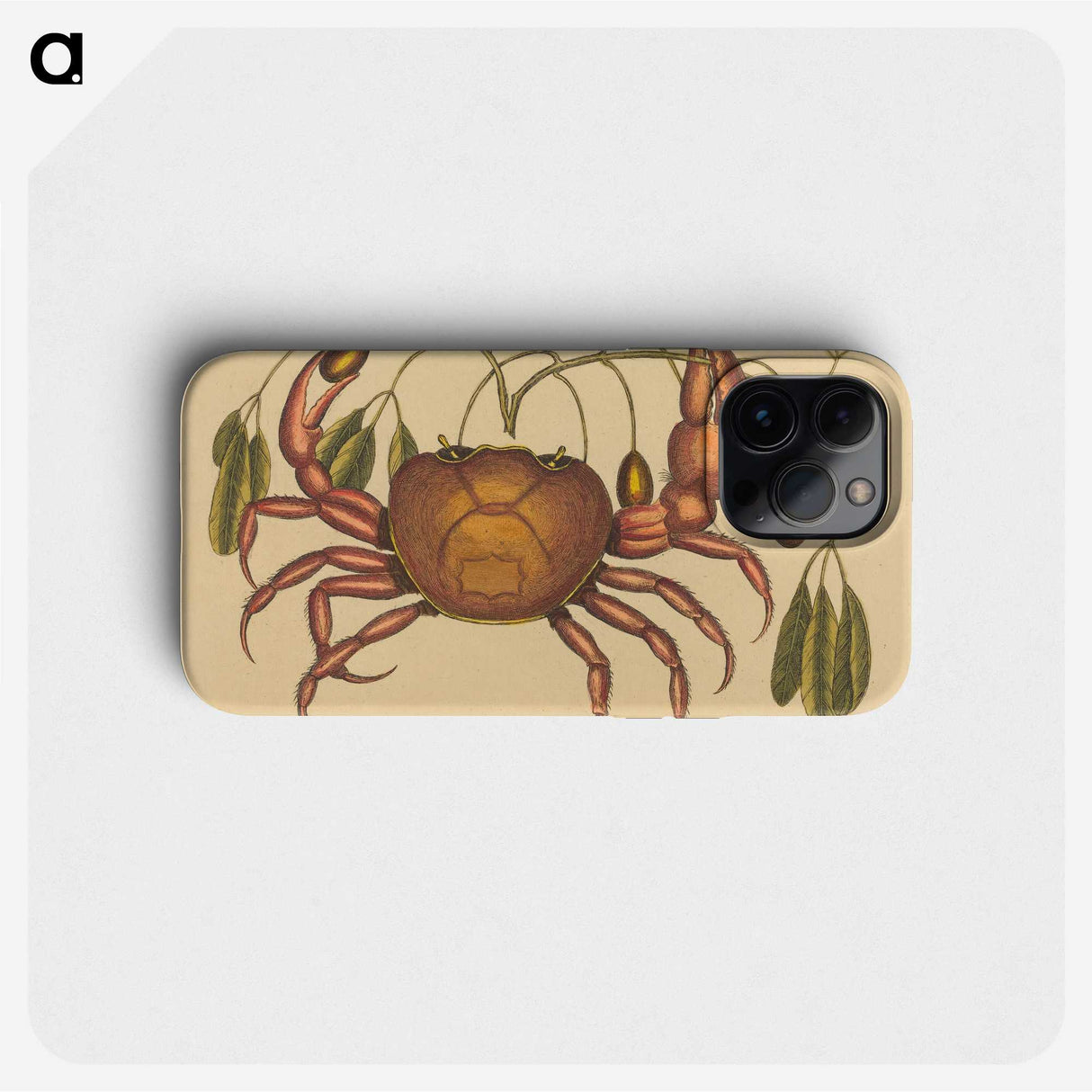 1-91_Mark-Catesby_phone