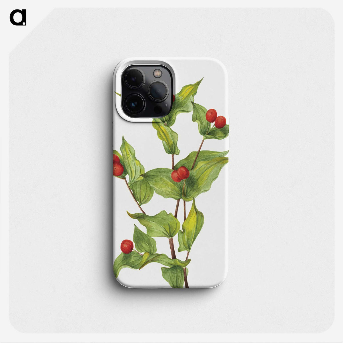 1-91_Mary-Vaux-Walcott_phone