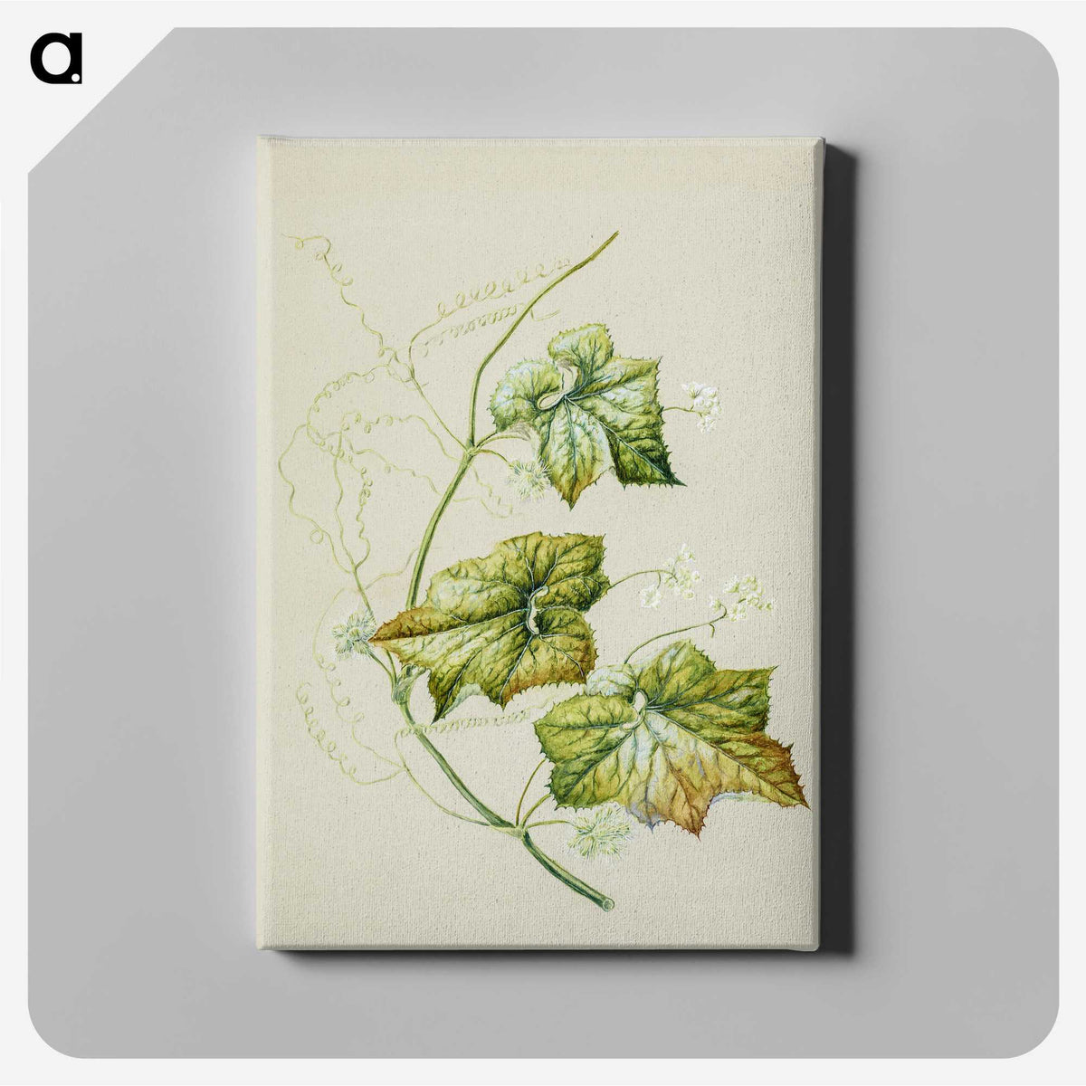 1-91_Native-Flowering-Plants-of-New-Zealand_canvas