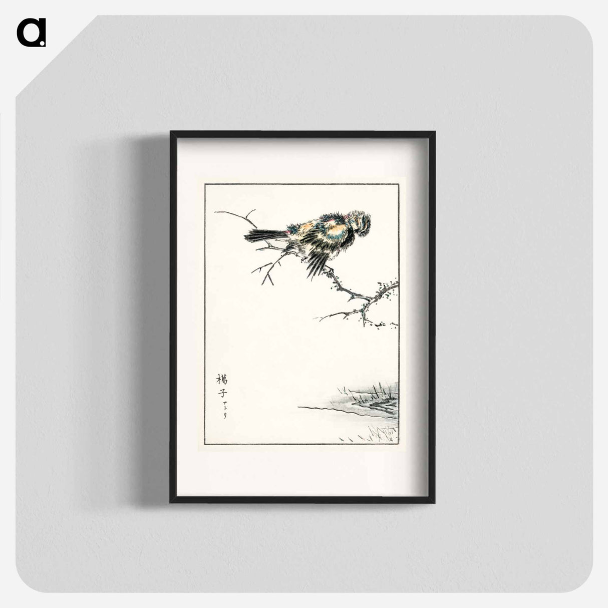アートポスター-Brambling Illustration
- 鳥類図鑑 Poster.