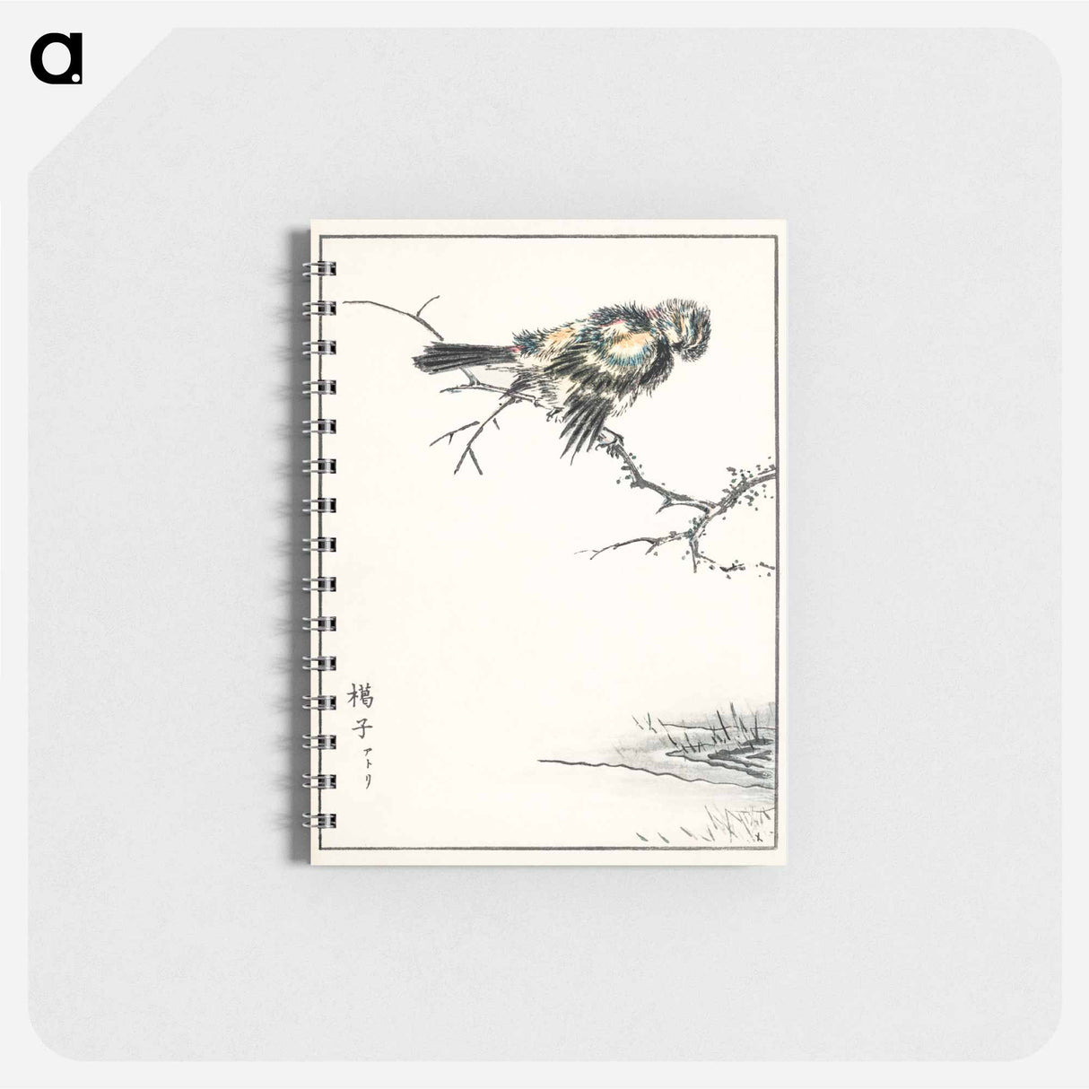 アートメモ帳-Brambling Illustration
- 鳥類図鑑 Memo.