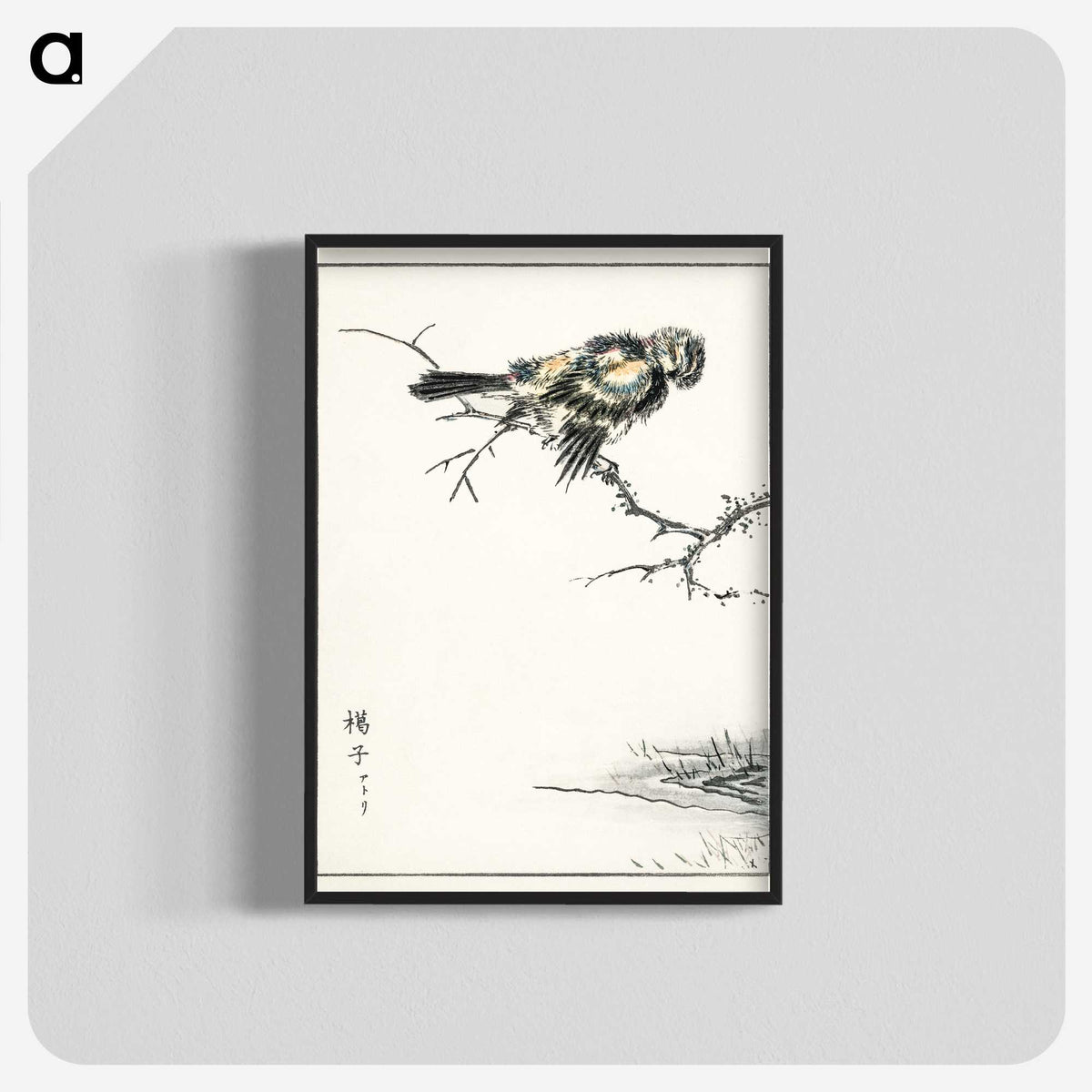 1-91_Pictorial-Monograph-of-Birds_blk-crop
