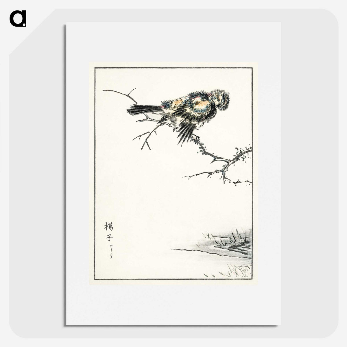 1-91_Pictorial-Monograph-of-Birds_picture