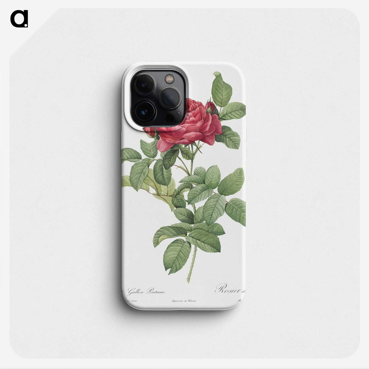 1-91_Pierre-Joseph-Redoute_phone