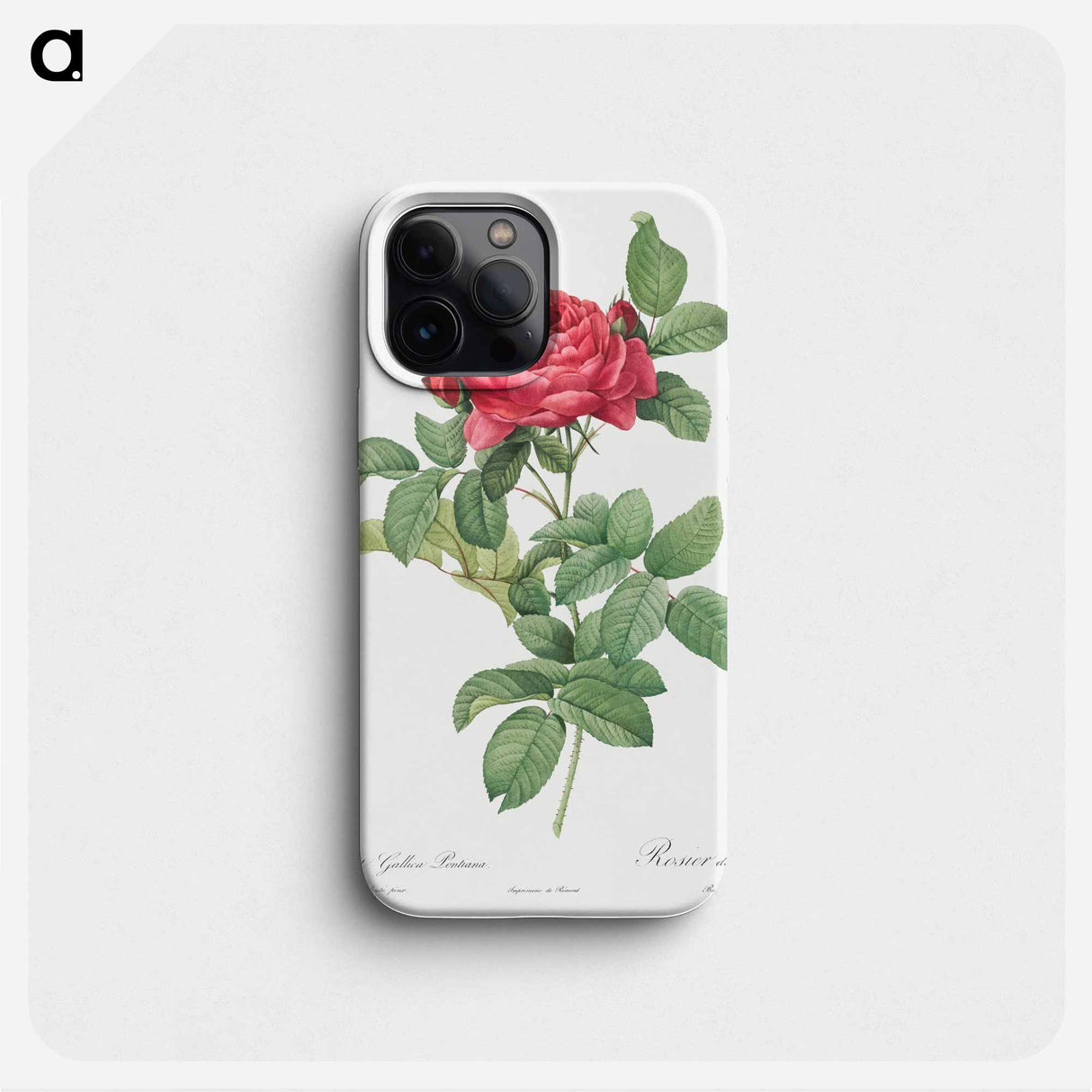 Rosa gallica pontiana - Pierre Joseph Redouté Phone Case.