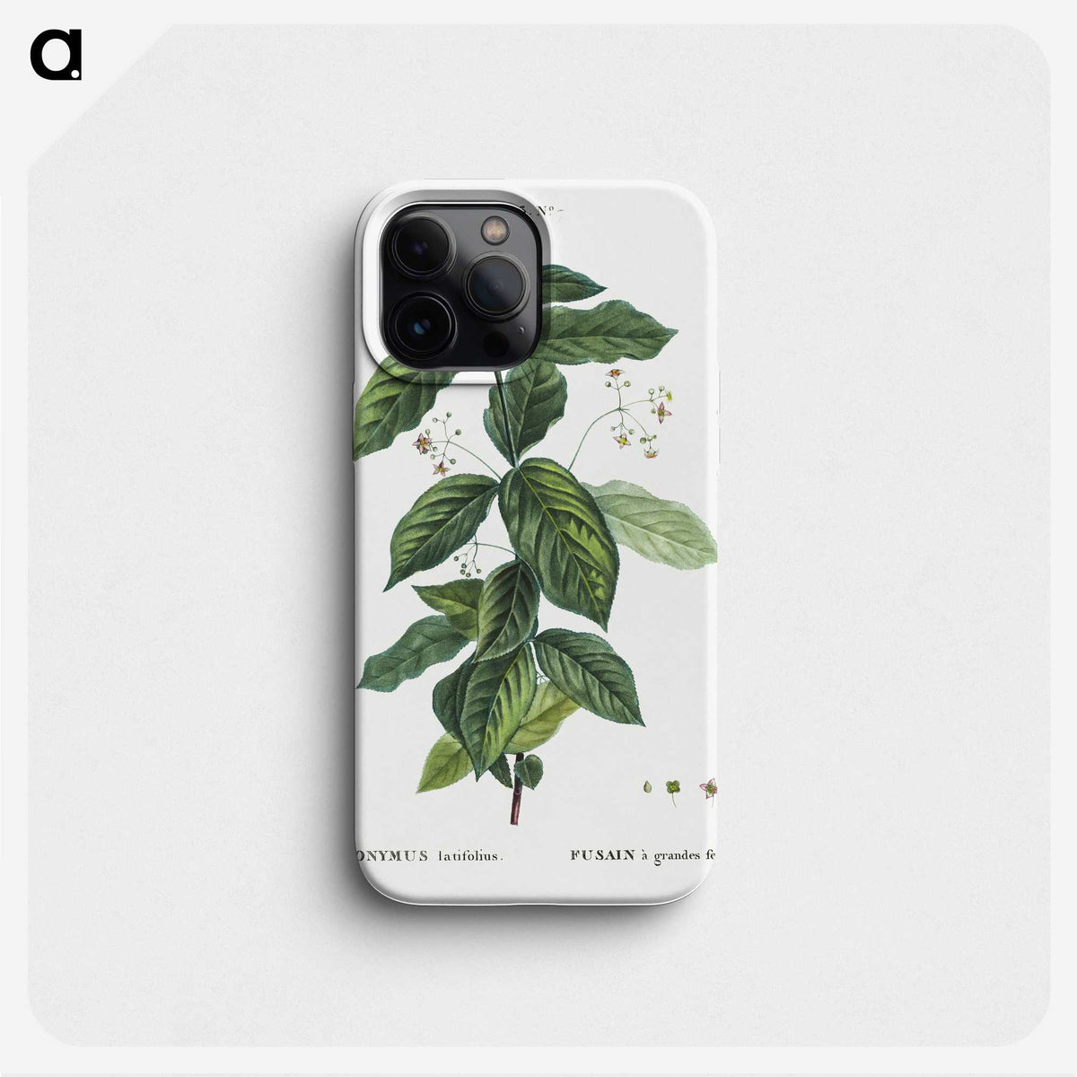 1-91_Treatise-on-Trees-and-Shrubs_phone
