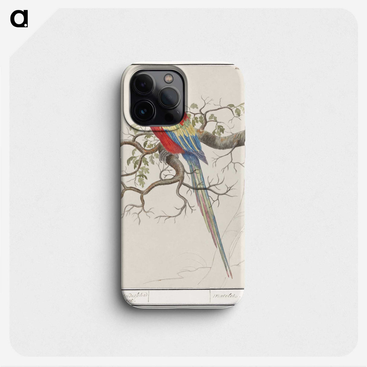 1-92_Anselmus-Boetius-de-Boodt_phone