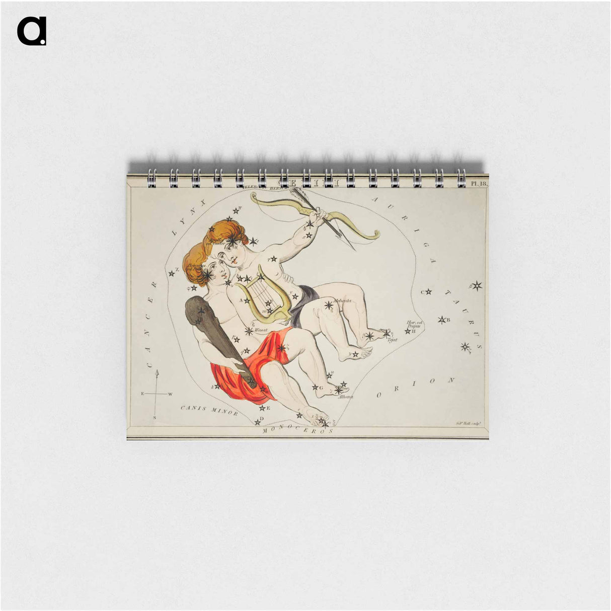 Sidney Hall’s astronomical chart illustration of the zodiac Gemini - アンティーク地図 Memo.