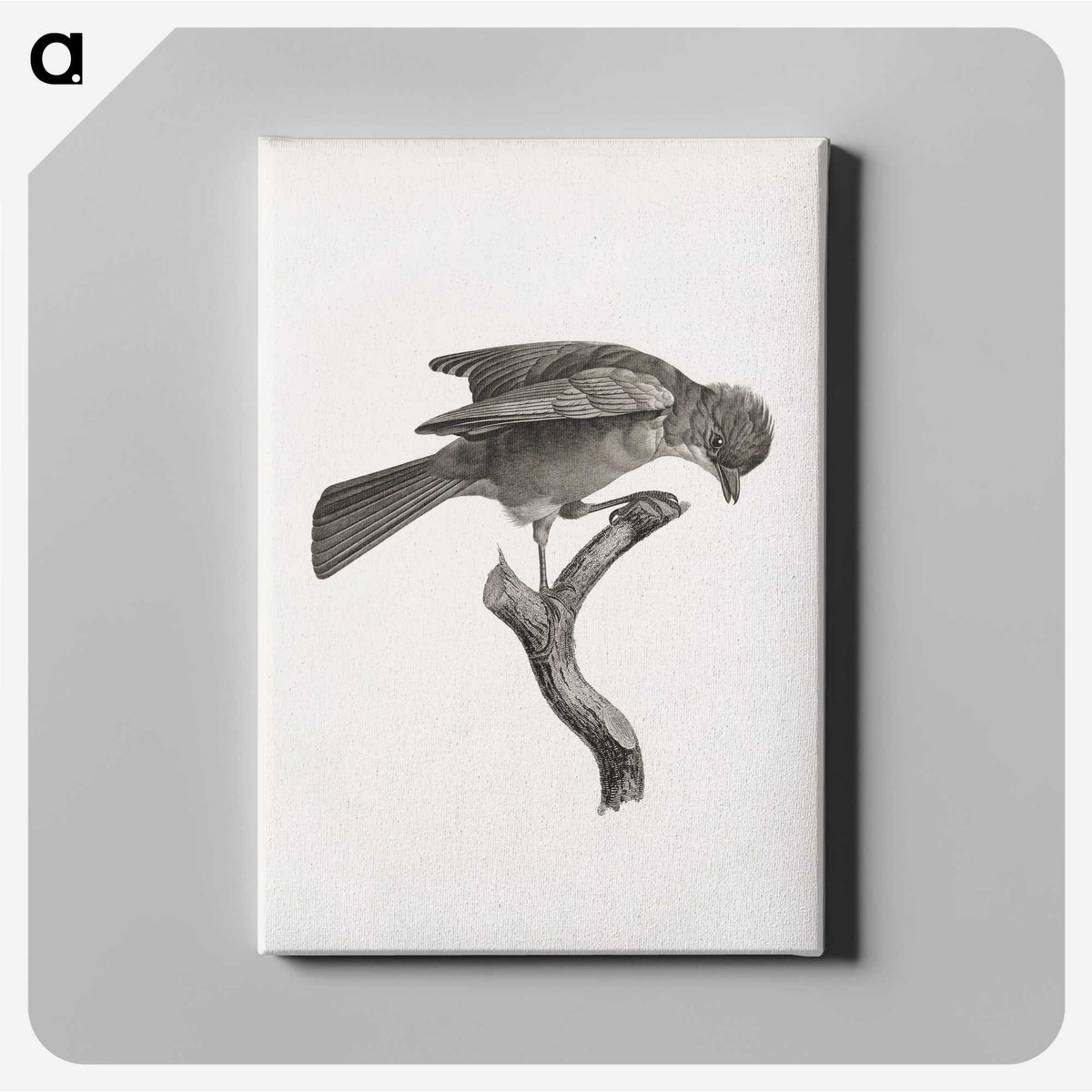 1-92_Des-Oiseaux-de-Paradis_canvas