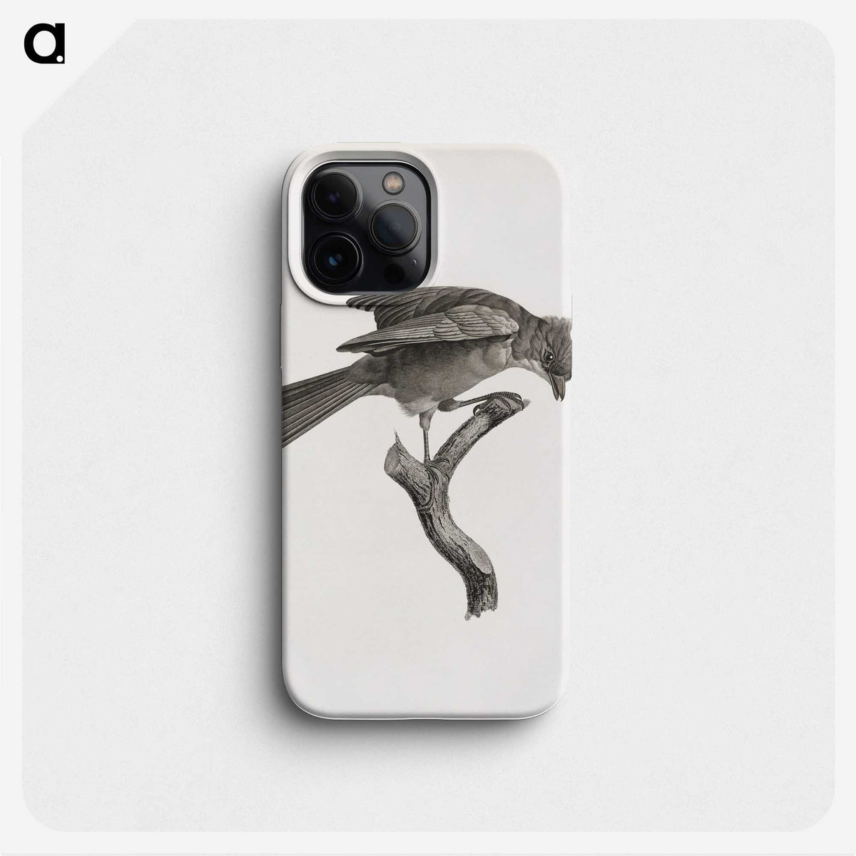 1-92_Des-Oiseaux-de-Paradis_phone