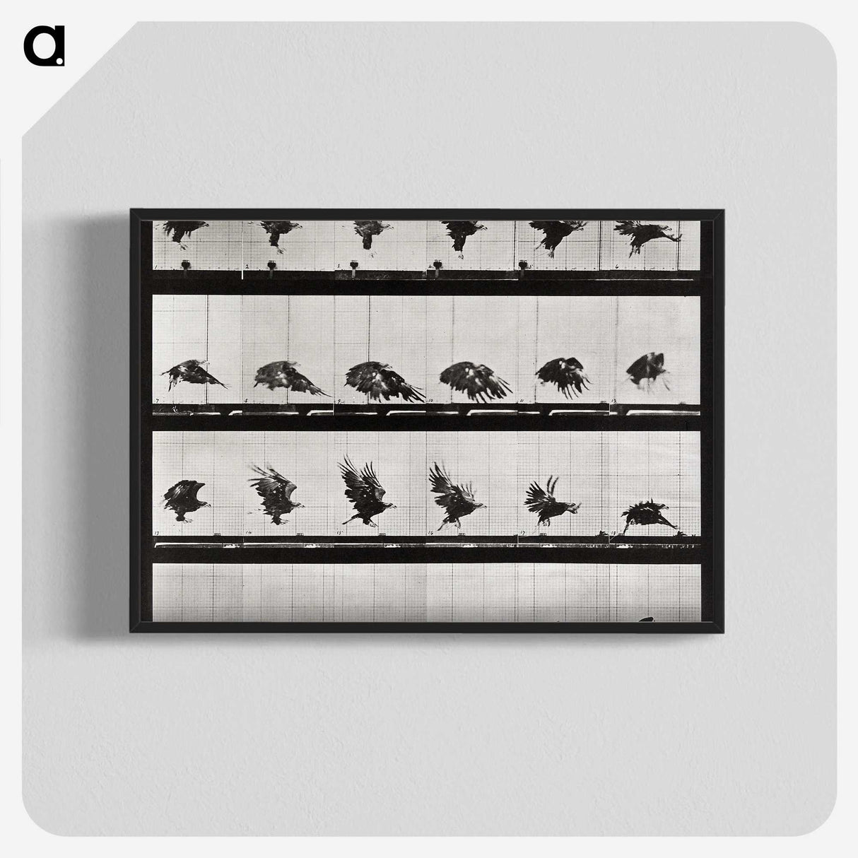 1-92_Eadweard-Muybridge_blk-crop