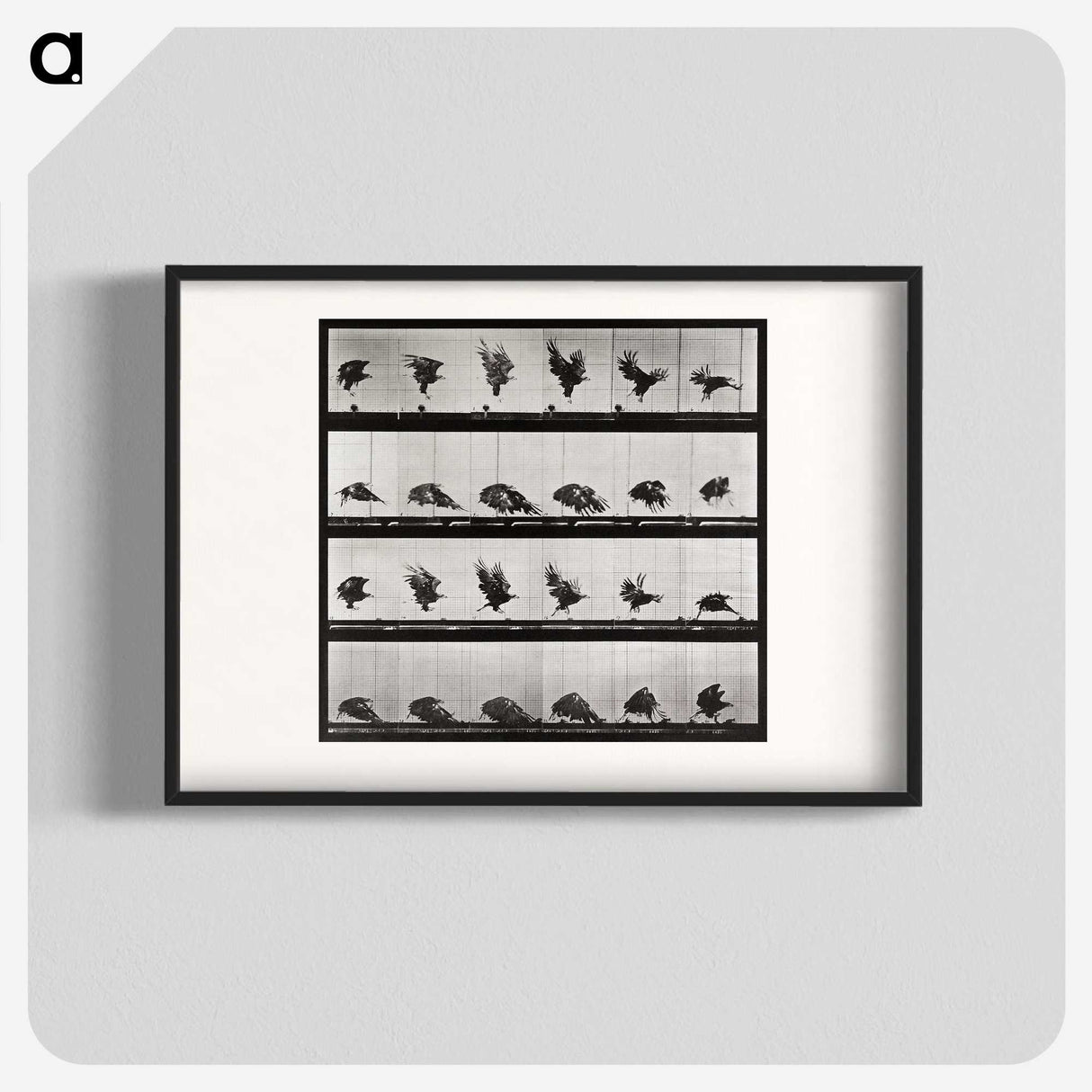 1-92_Eadweard-Muybridge_blk