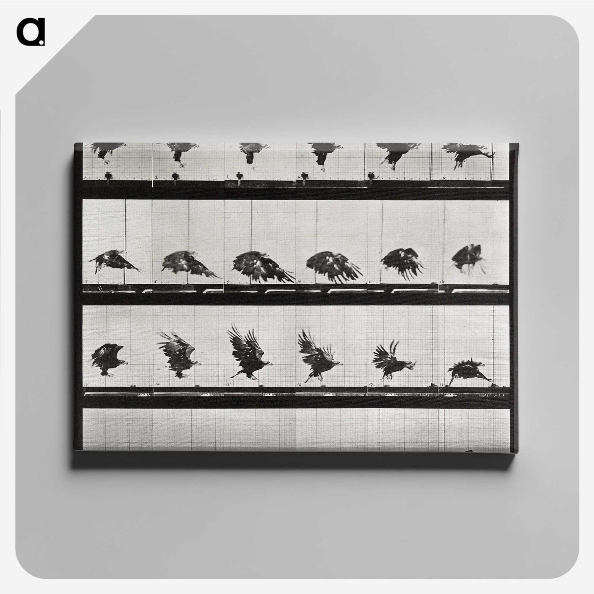 1-92_Eadweard-Muybridge_canvas