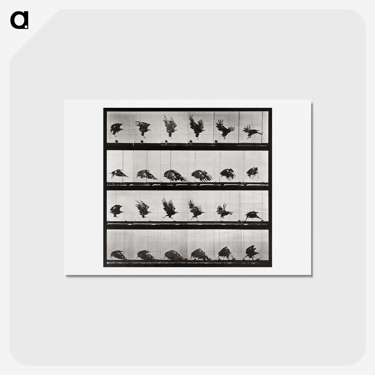 1-92_Eadweard-Muybridge_hagaki