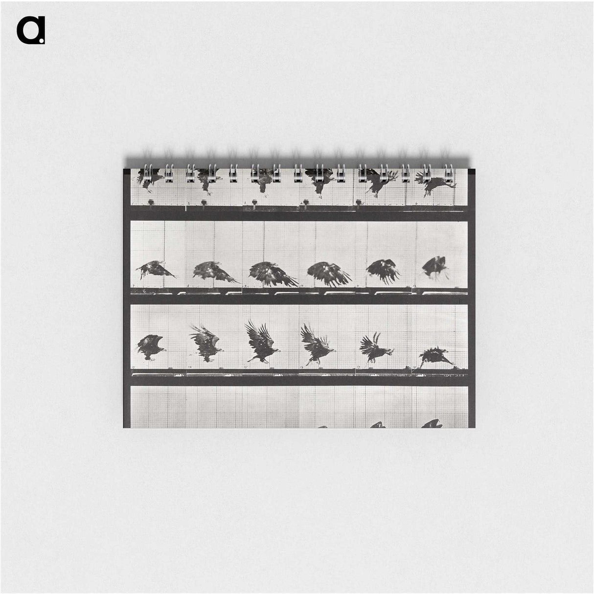 1-92_Eadweard-Muybridge_memo