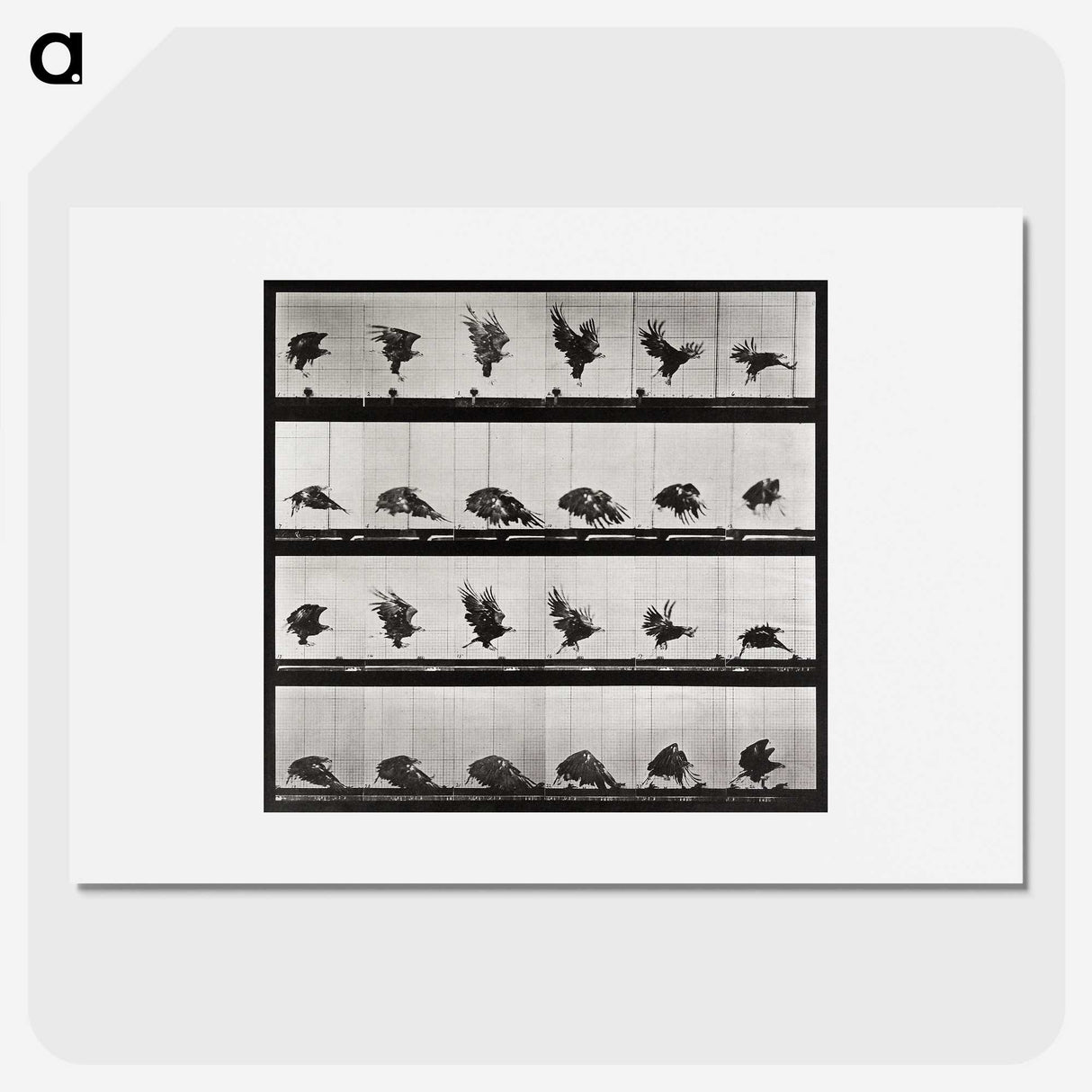1-92_Eadweard-Muybridge_picture