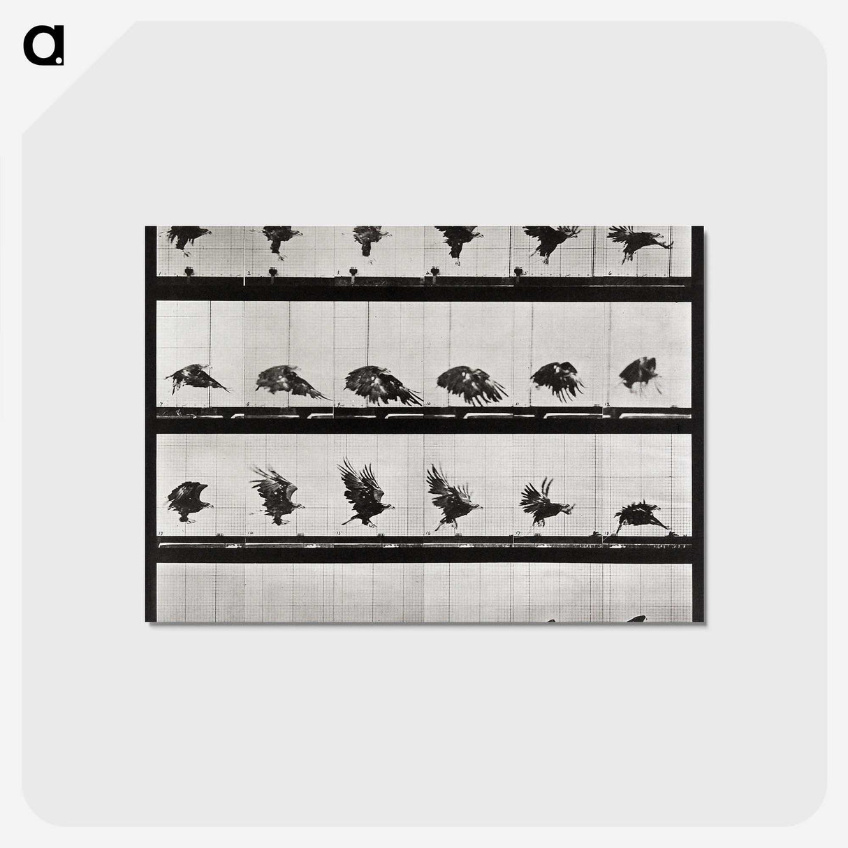 1-92_Eadweard-Muybridge_postcard