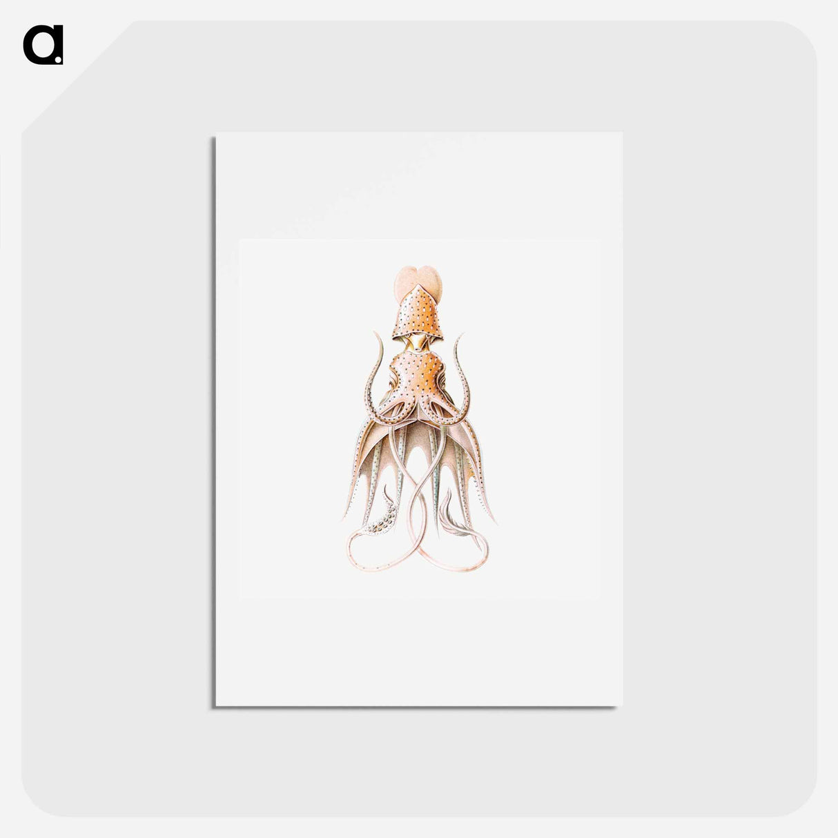 アートポストカード-Vintage squid marine life illustration - エルンスト ヘッケル Postcard.