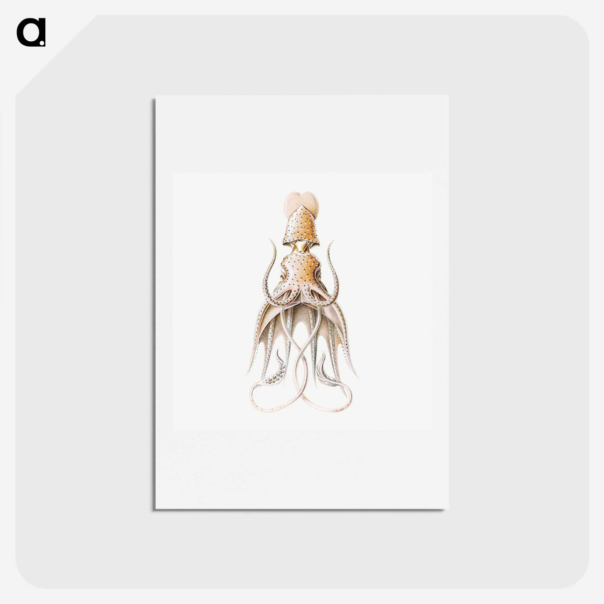 1-92_Ernst-Haeckel_hagaki