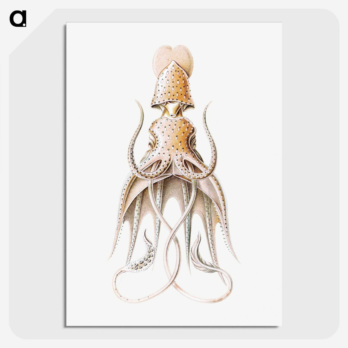 1-92_Ernst-Haeckel_picture-crop