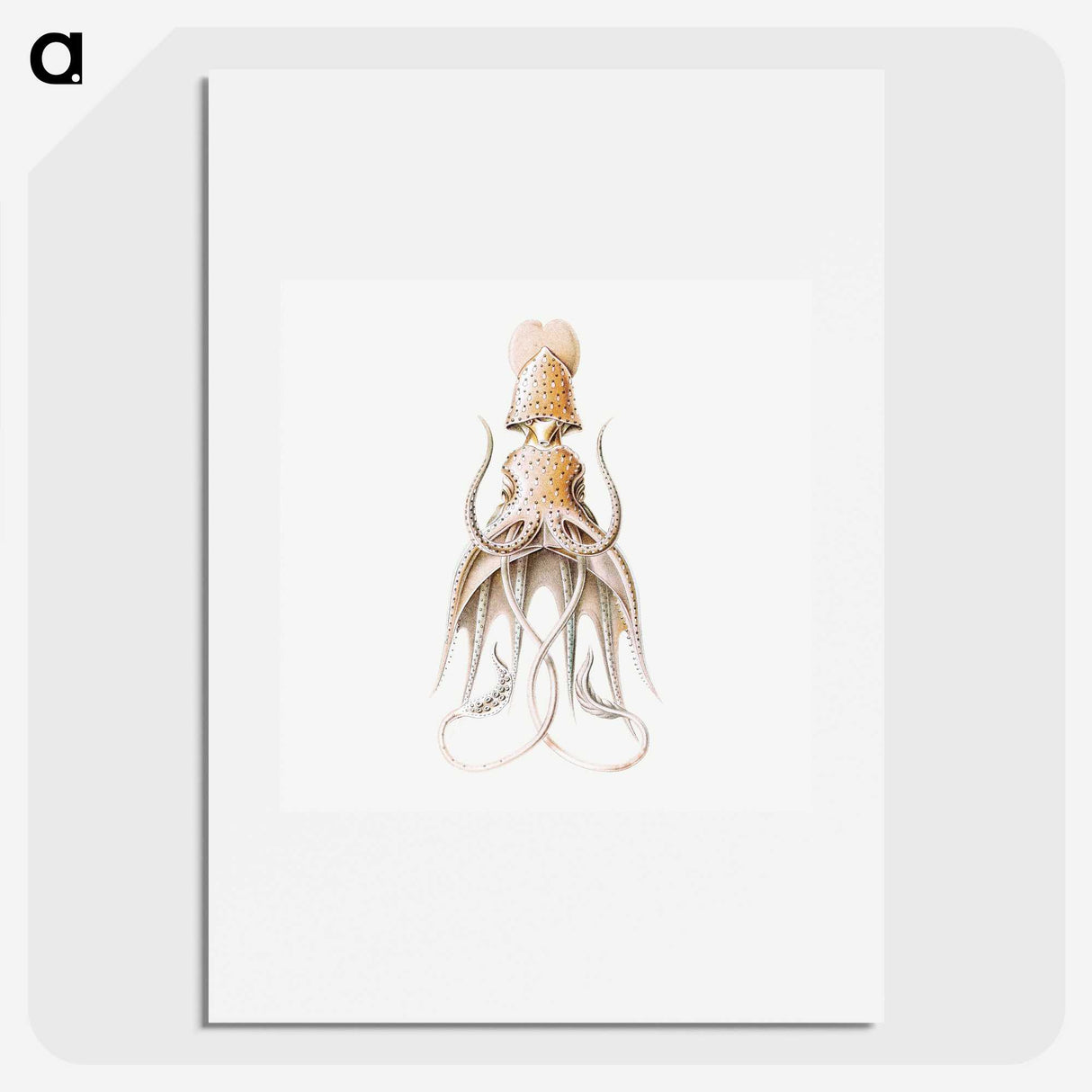 1-92_Ernst-Haeckel_picture