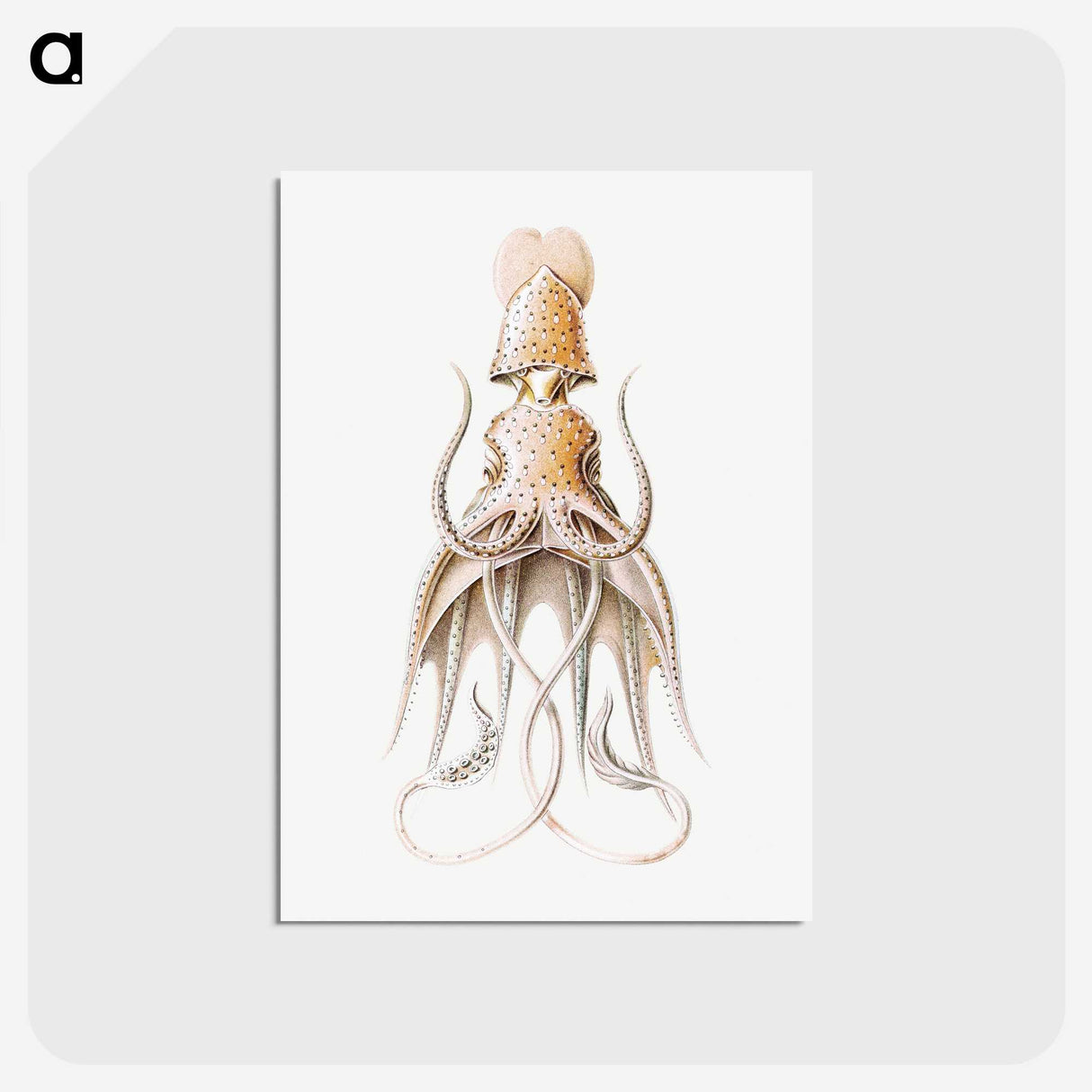 1-92_Ernst-Haeckel_postcard