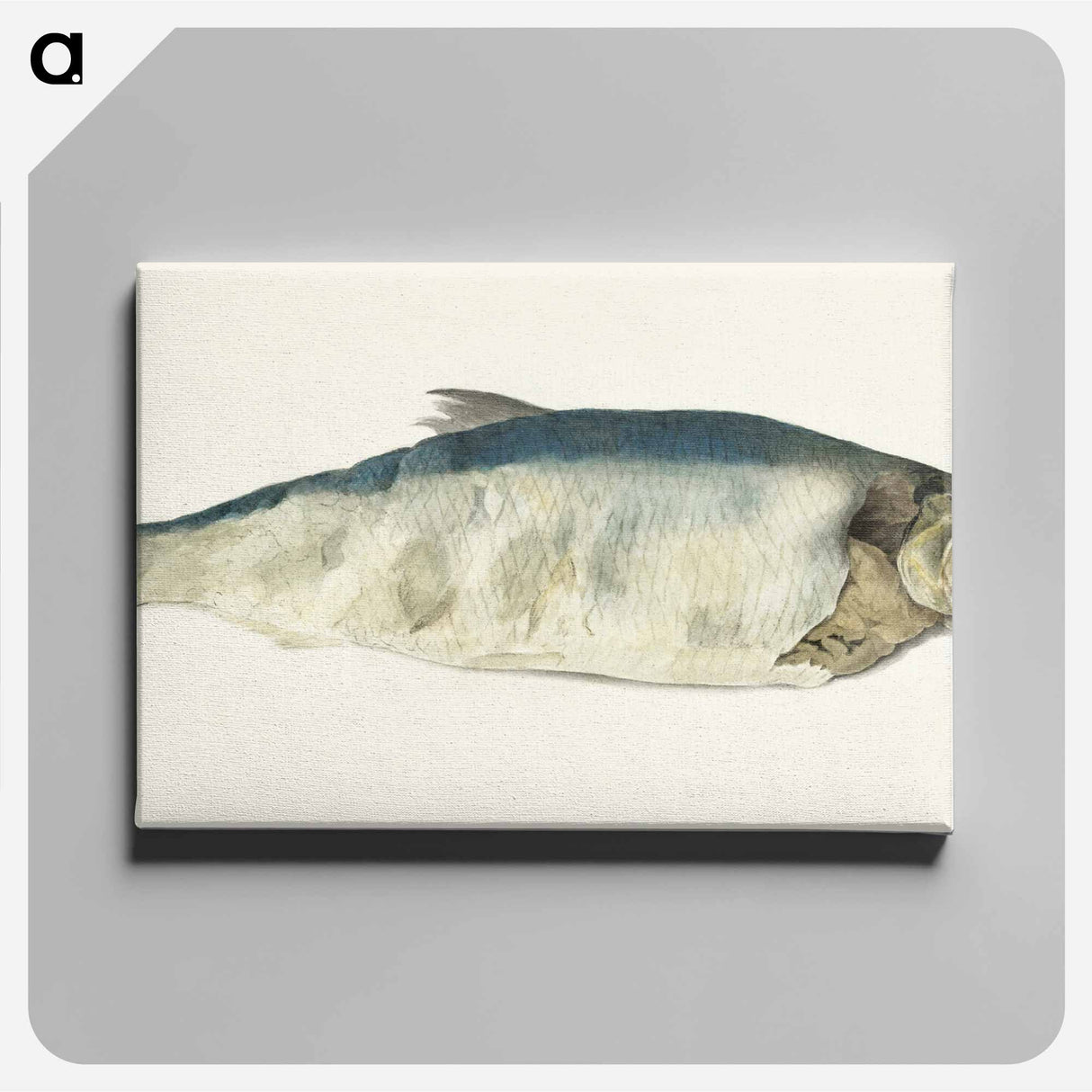 アートパネル-Fish, partly perished - ジャン ベルナール Canvas.