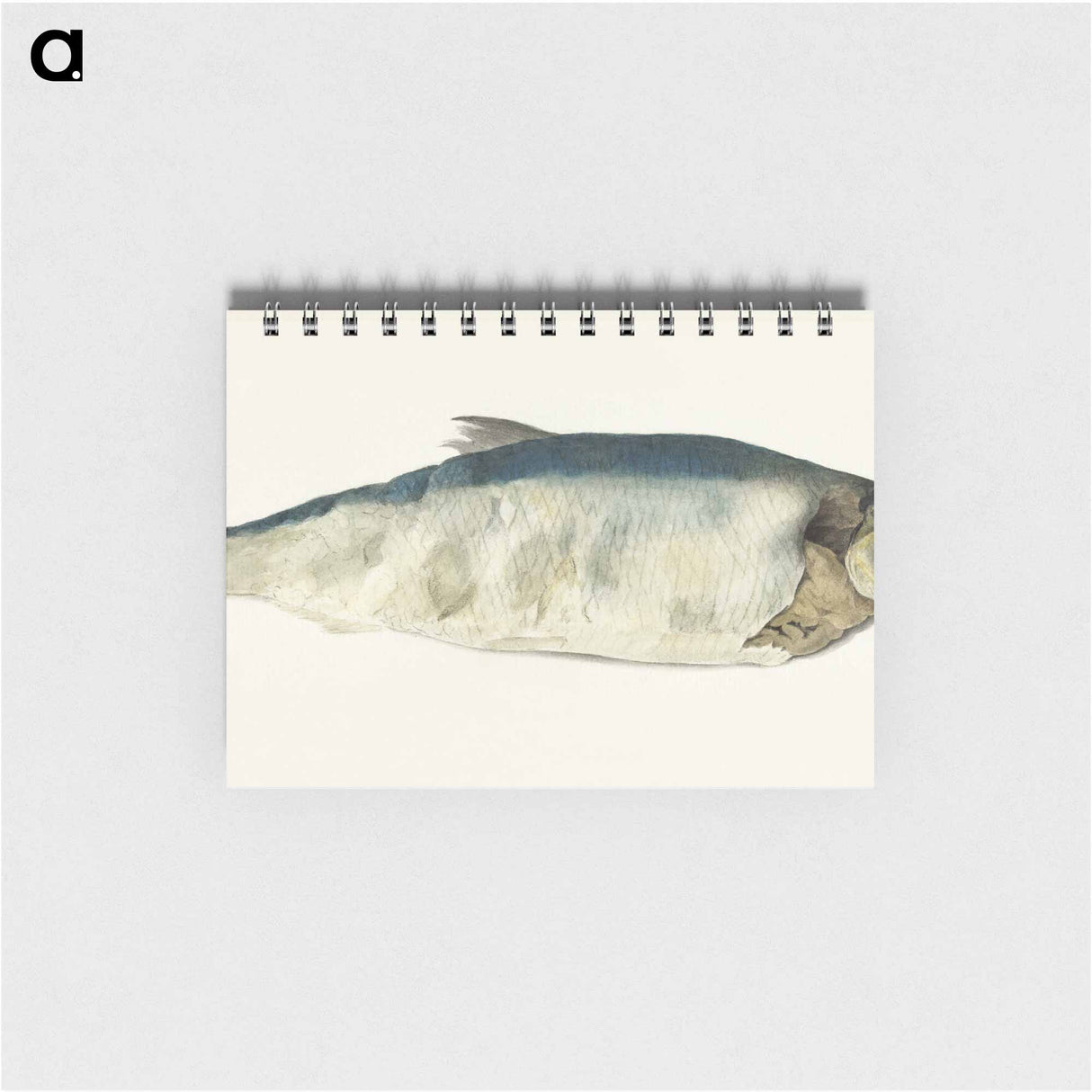 Fish, partly perished - ジャン ベルナール Memo.