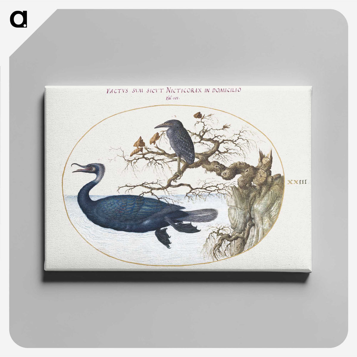 1-92_Joris-Hoefnagel_canvas