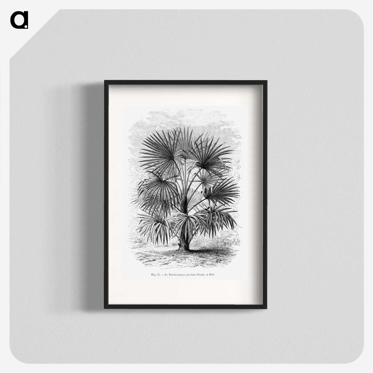 1-92_Les-Palmiers-Histoire-Iconographique_blk
