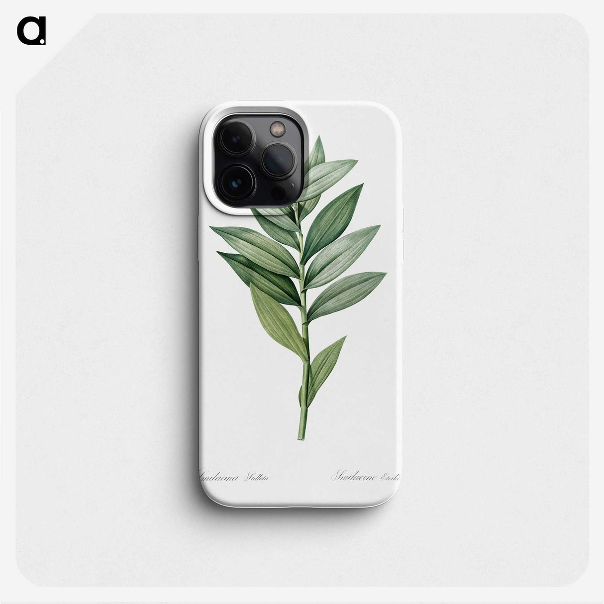 1-92_Pierre-Joseph-Redoute_phone