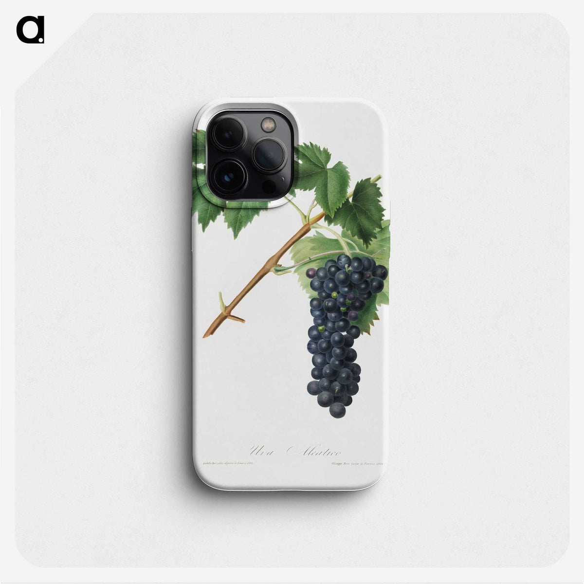 1-92_Pomona-Italiana_phone