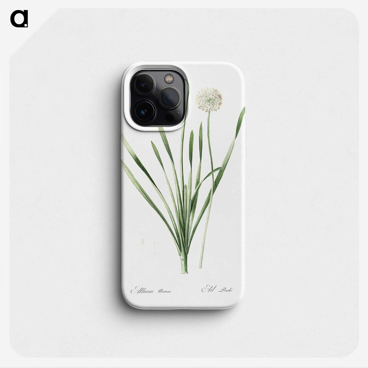 1-92_The-Lilies_phone