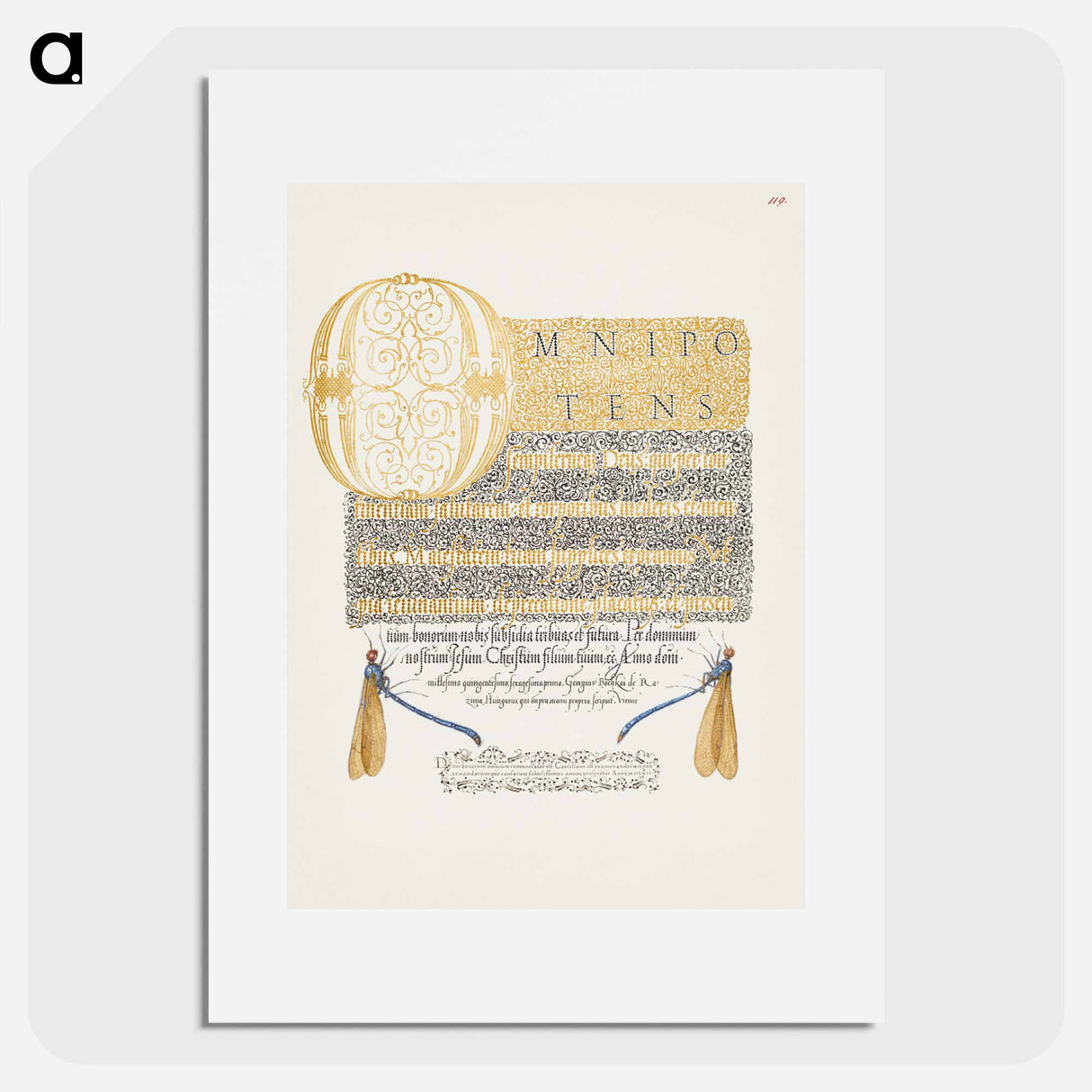 アートポスター-Damselflies from Mira Calligraphiae Monumenta
- 書道のお手本 Poster.