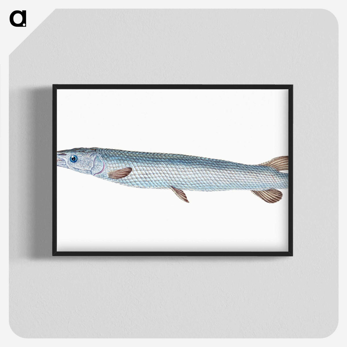 1-92_The-Natural-History-of-British-Fishes_blk-crop