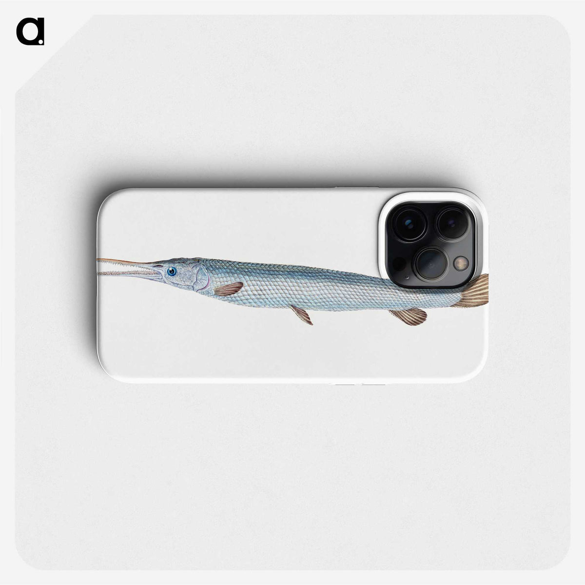 1-92_The-Natural-History-of-British-Fishes_phone