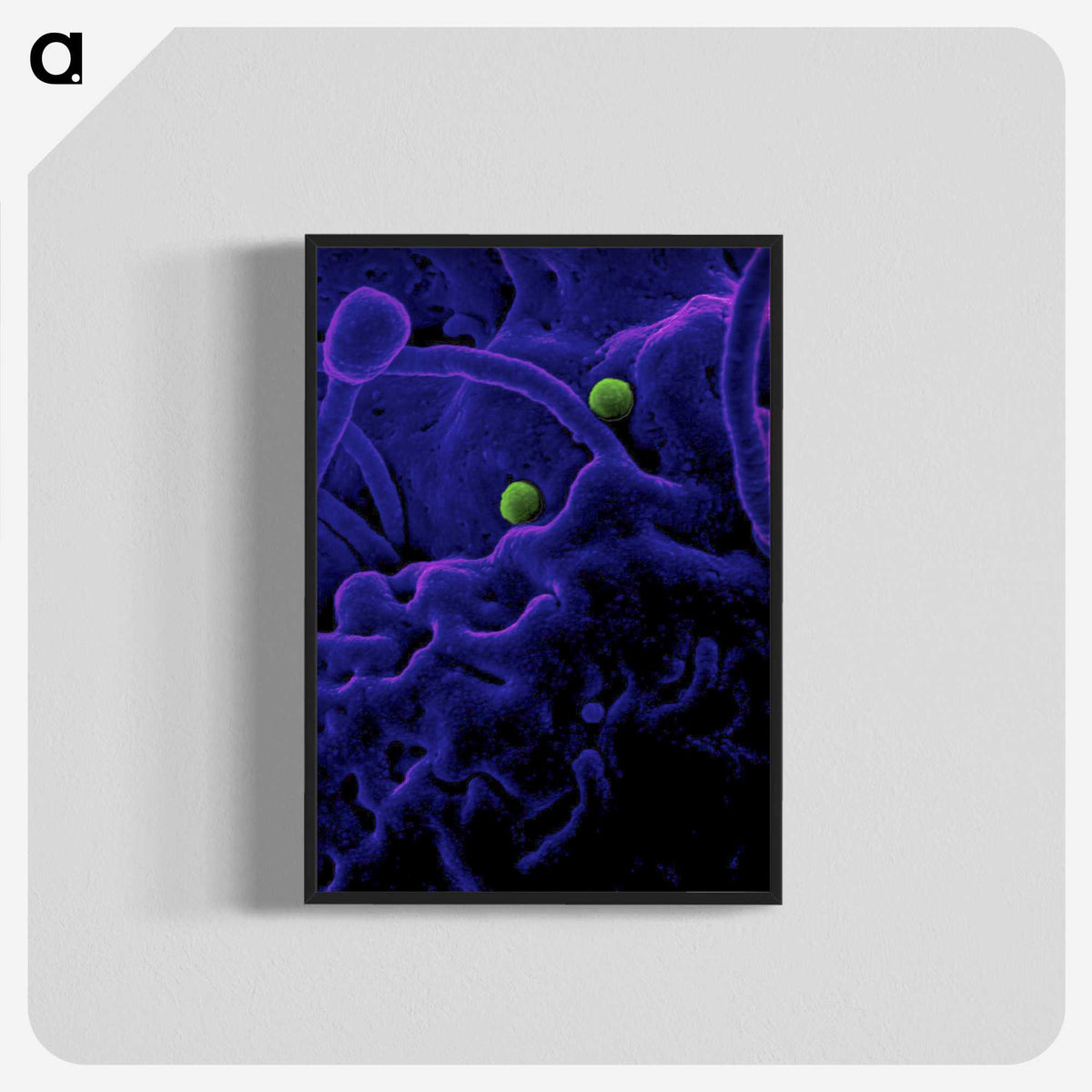 1-93_COVID-19_blk-crop