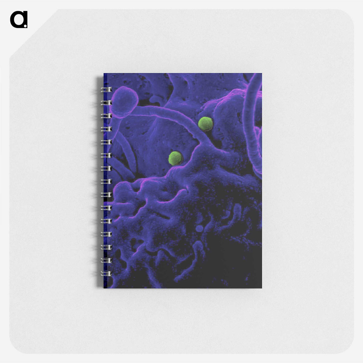 1-93_COVID-19_memo