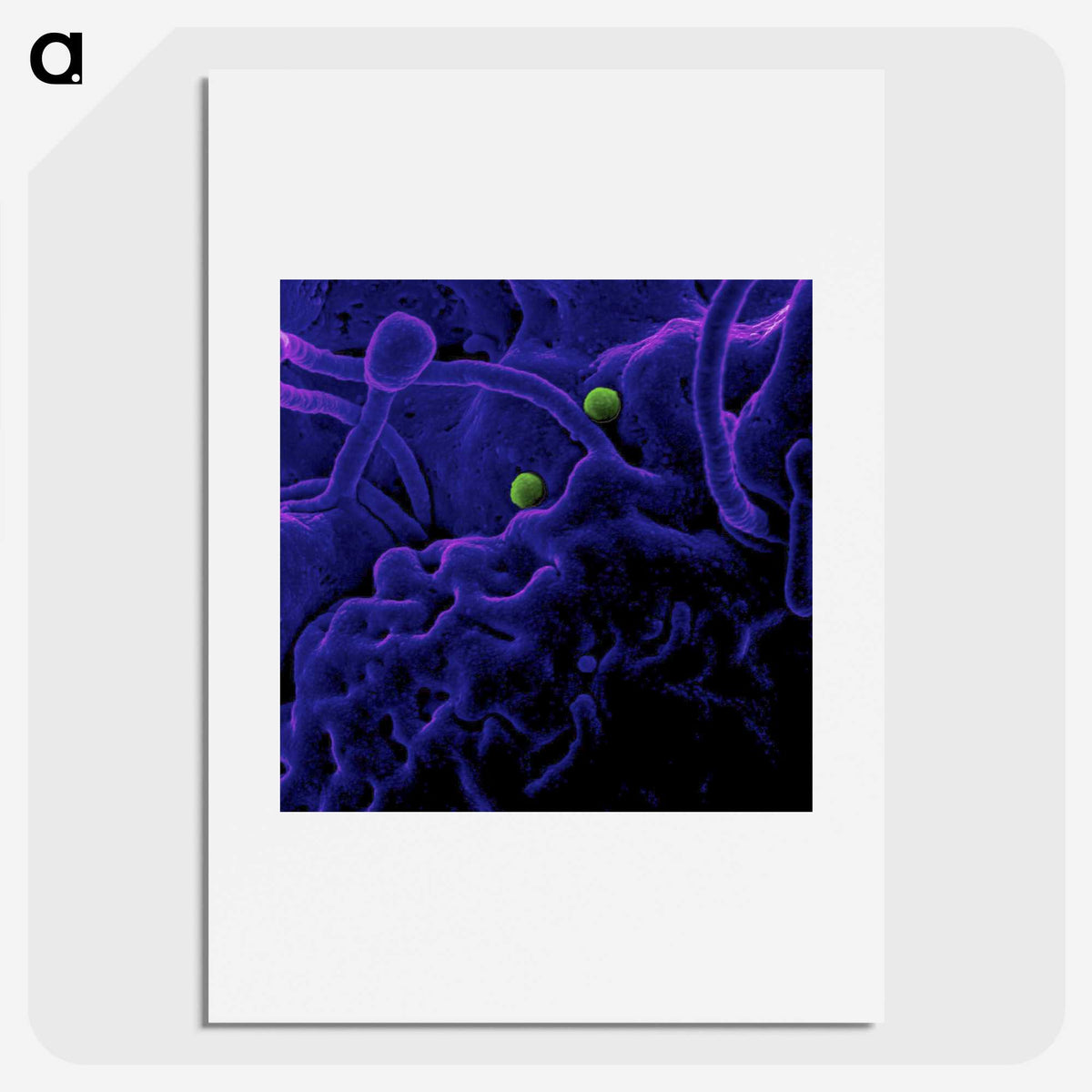1-93_COVID-19_picture