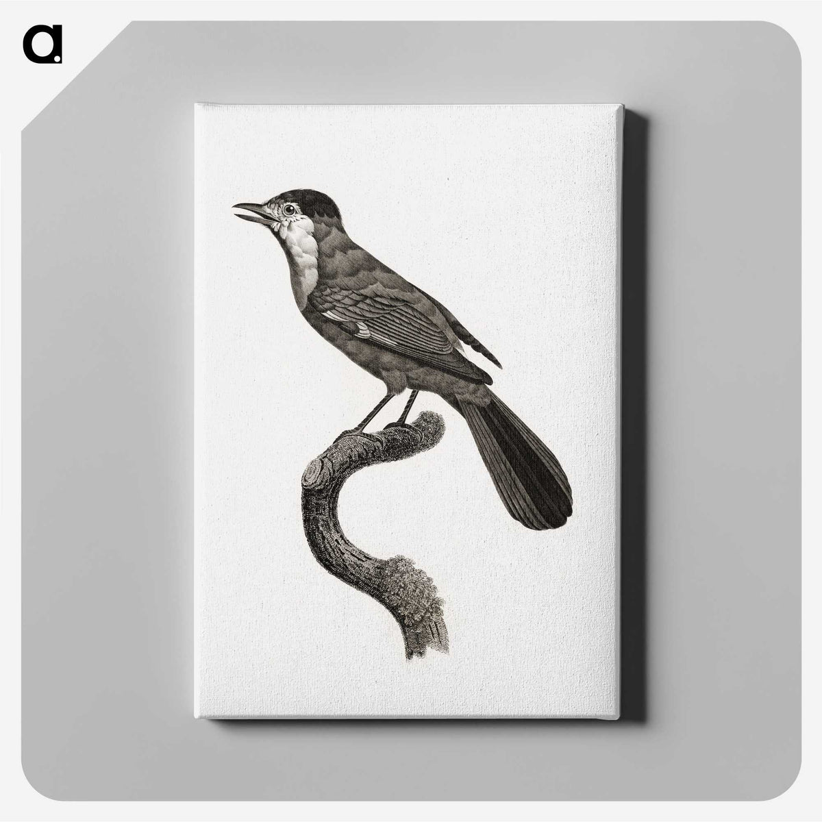 1-93_Des-Oiseaux-de-Paradis_canvas