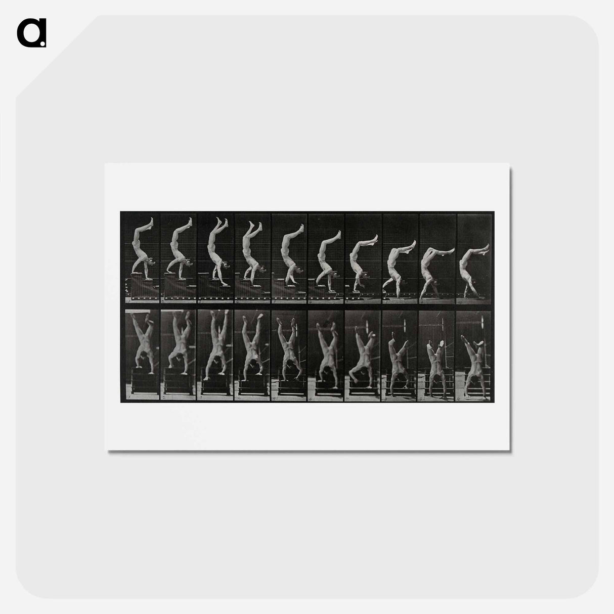 アートポストカード-Handstand
- エドワード マイブリッジ Postcard.