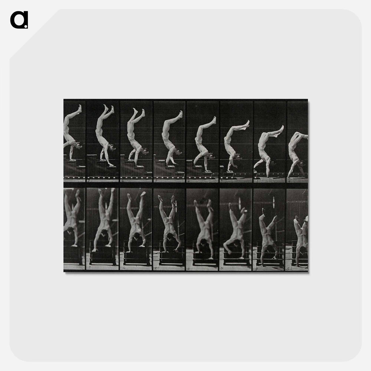 アートポストカード-Handstand
- エドワード マイブリッジ Postcard.