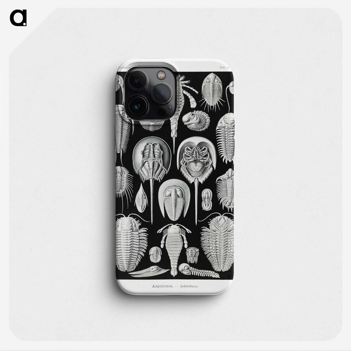 1-93_Ernst-Haeckel_phone