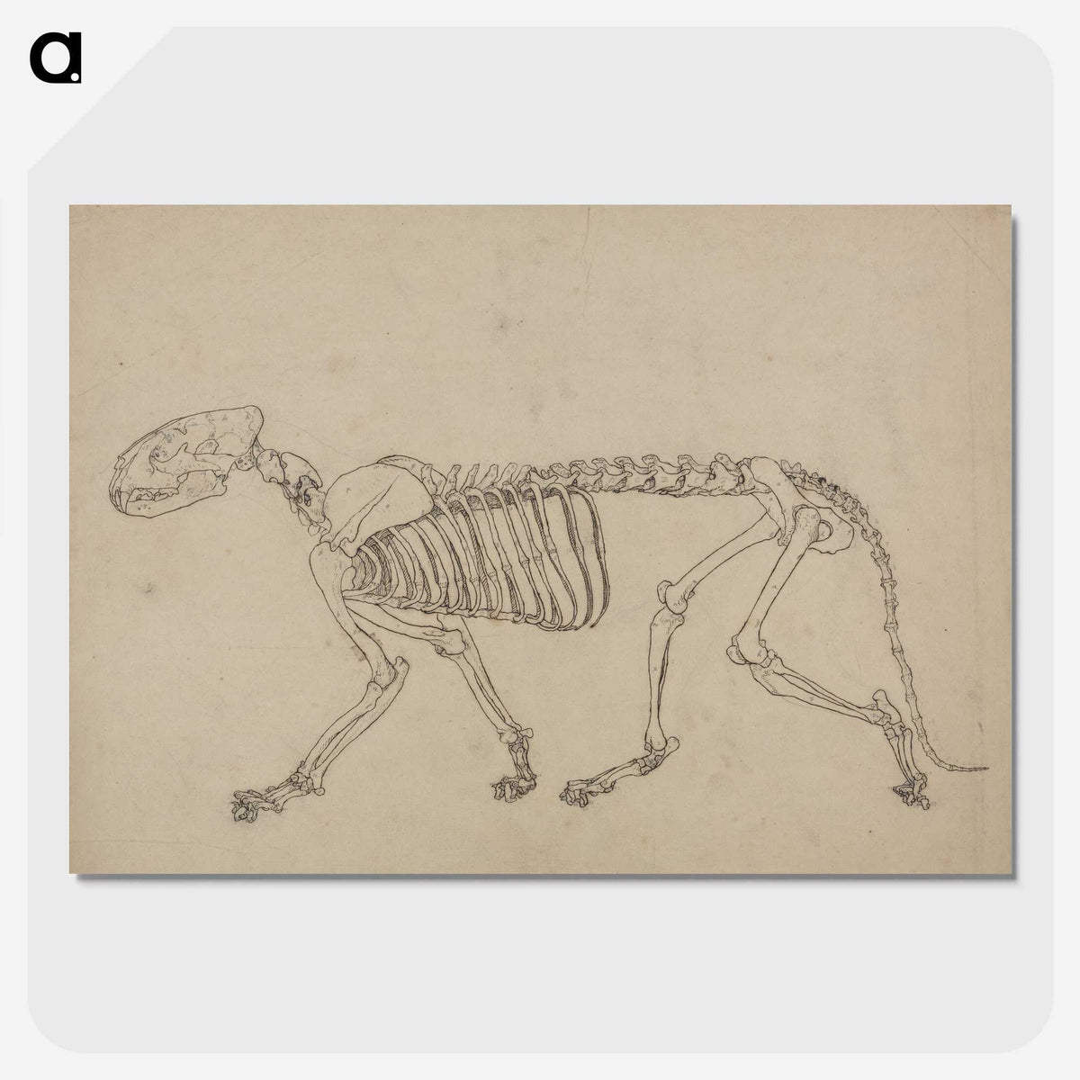 1-93_George-Stubbs_picture-crop