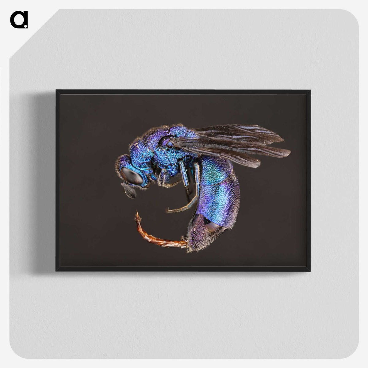 1-93_Insects-Unlocked-Project_blk-crop