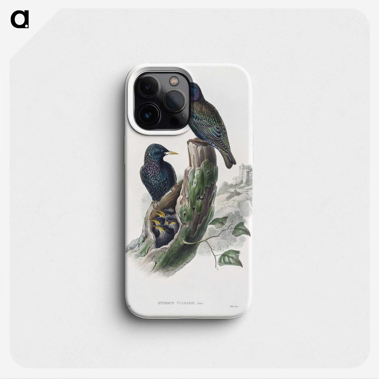 1-93_John-Gould_phone