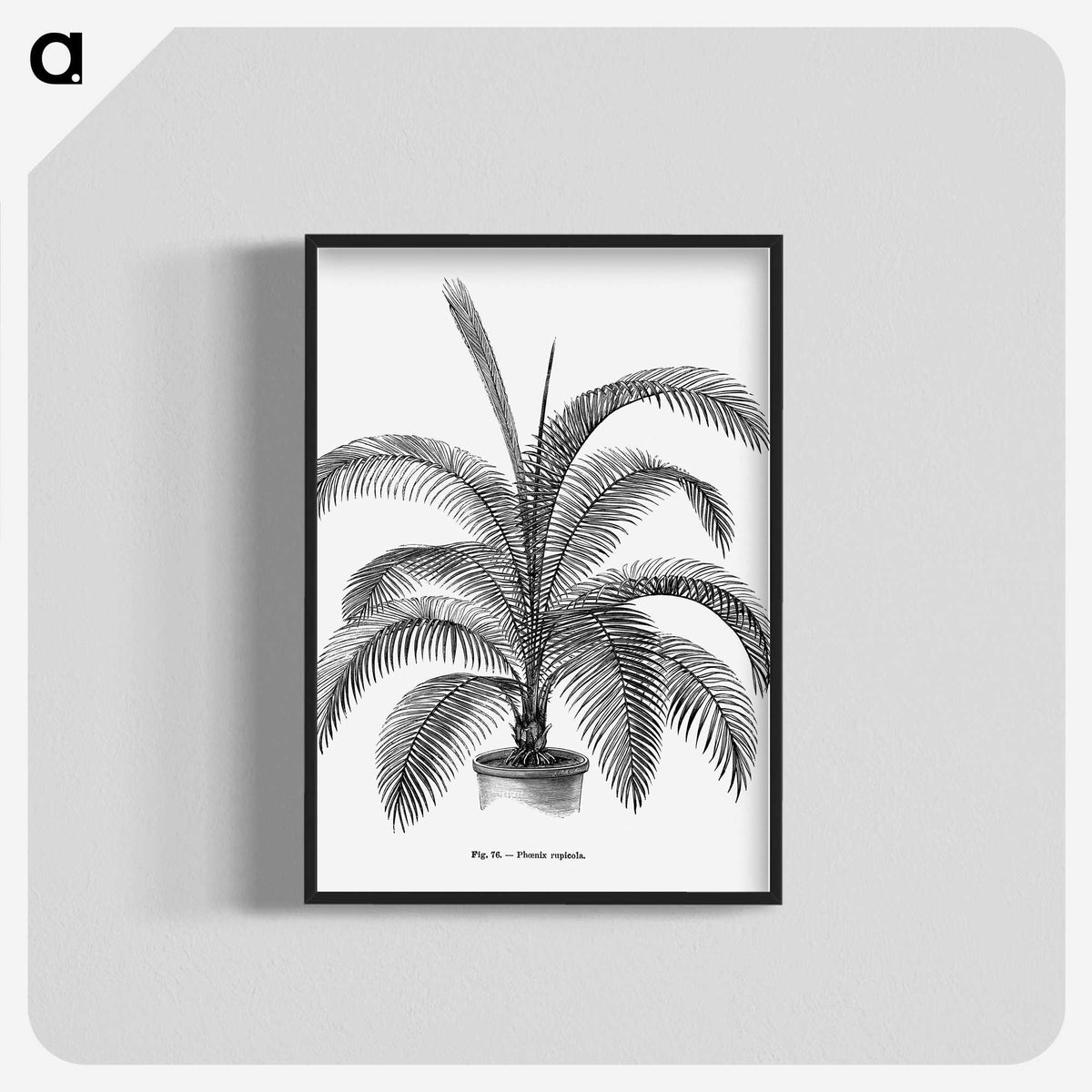 1-93_Les-Palmiers-Histoire-Iconographique_blk-crop