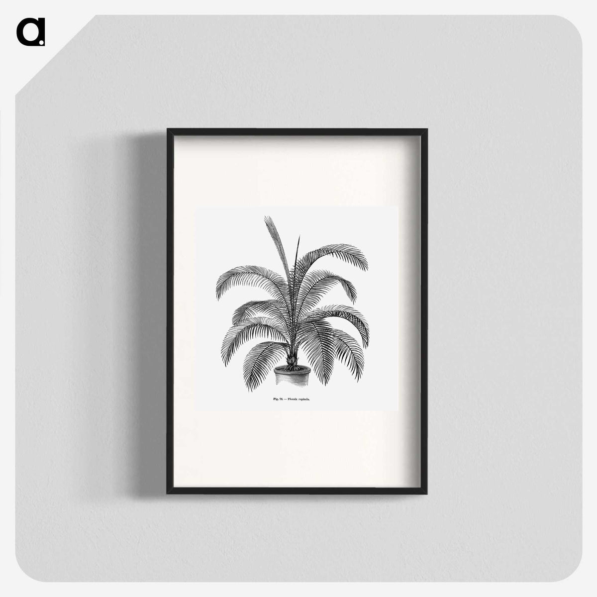 1-93_Les-Palmiers-Histoire-Iconographique_blk