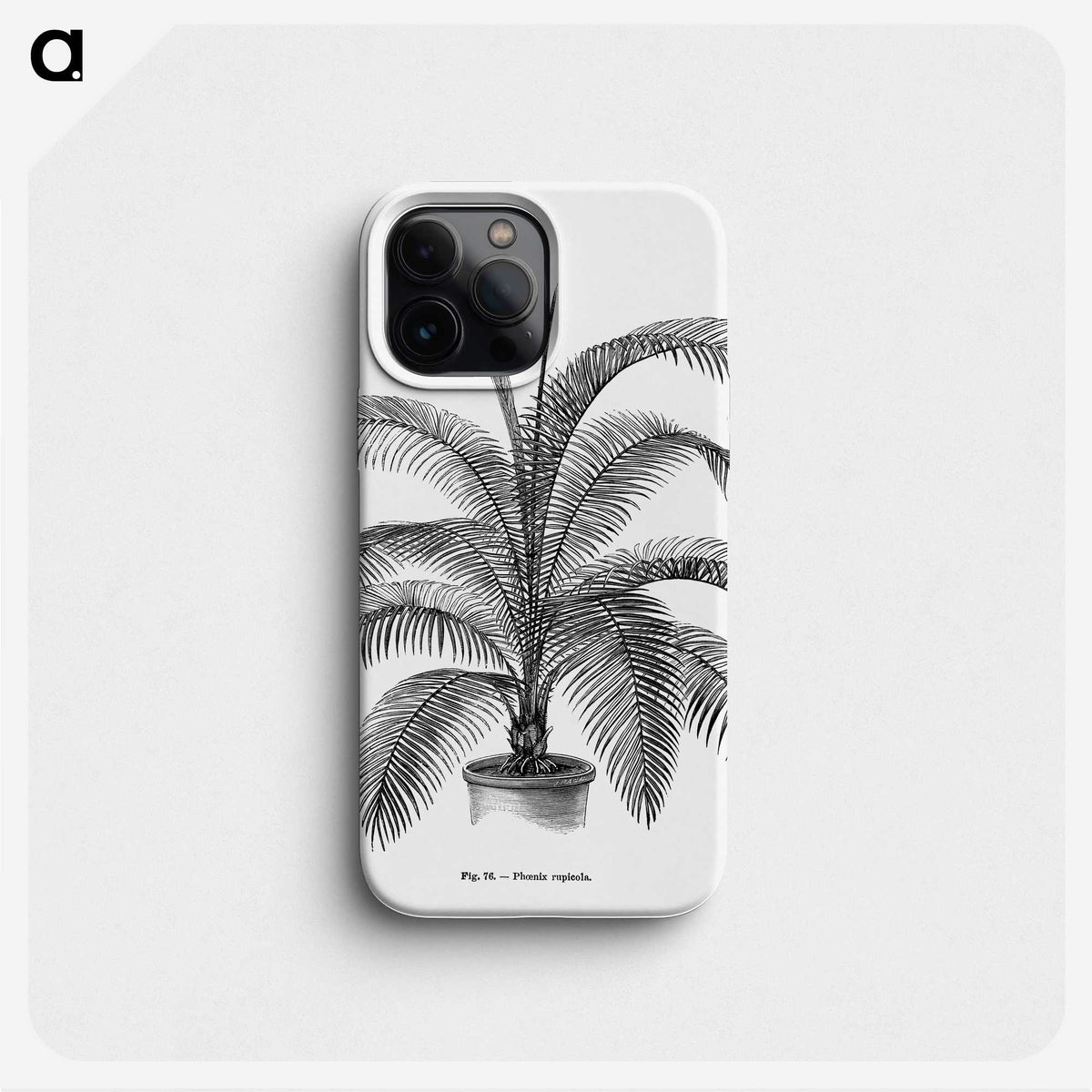 1-93_Les-Palmiers-Histoire-Iconographique_phone