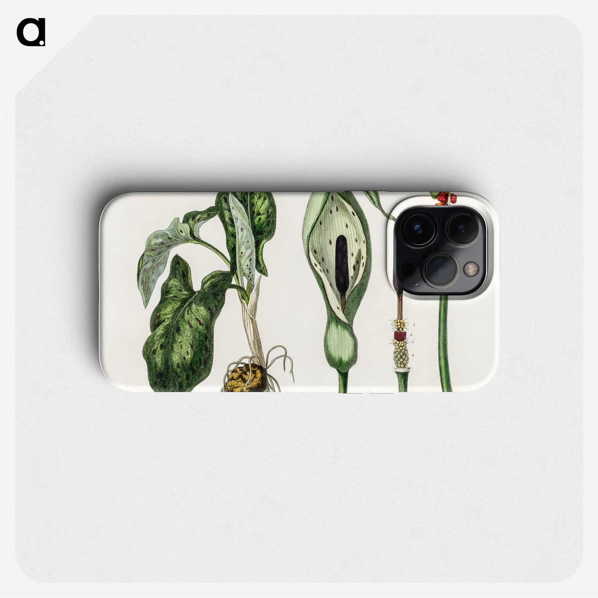1-93_Medical-Botany_phone